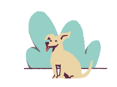 Animation test 2d 3d after effects animation character dog flat gif motion