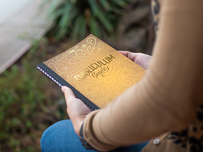 Grace & grit Curriculum book book binding book cover girl power gold foil illustration publication strong women women youthful