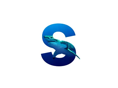 "S" Letter Portrait art artwork creative design digital digital art fish graphic graphic design image inspiration letter minimal ocean photo photo art photo manipulation photoshop sea shark