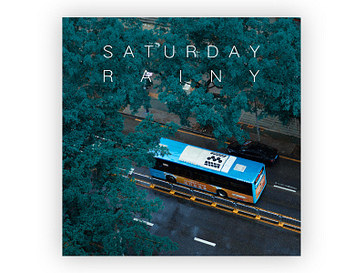 Rainy Saturday bus cyan tree