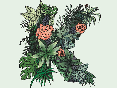 Letter K 36 days of type art design drawing flat design flower graphic design greenhouse icon illustration jungle letter design letter k lettering logo design logotype plant plants type typography
