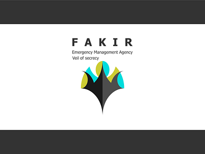 Emergency Management Agency. Veil Of Secrecy. illustration logo значок типография