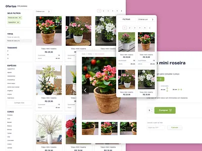 Flowers Ecommerce Internal Pages - Casa do Florista design ecommercer flores flower delivery uae flowers interface pink sale shop shop online ui web design