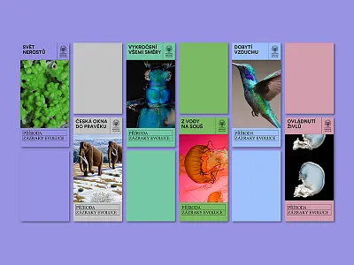 National Museum Labels art branding bugs design exhibition exposition gallery gallery art illustration label layout miracles of evolution poster posters proposal sign visual visual art visual identity visual style