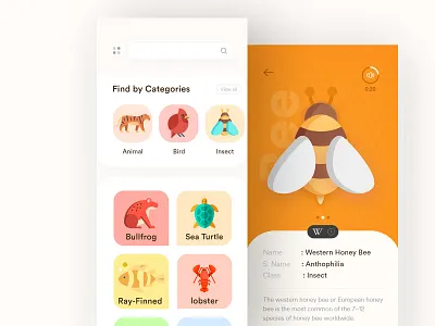 Wildlife App Concept andorid flat flat design illustration ios app design minimal typography user experience ux vector wild animal