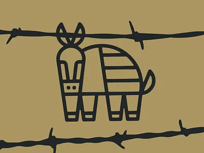 Armadillo animal armadillo ears shell south southwest tail texas west