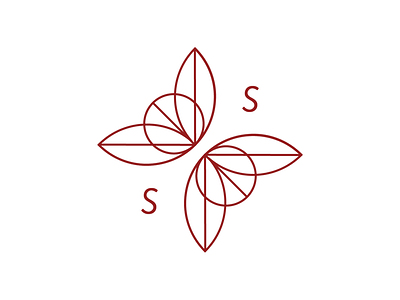 Slow & Steady Update branding design graphic design