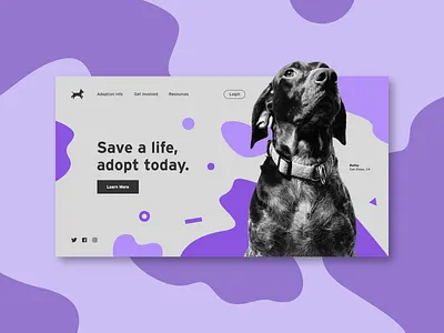 Pet Adoption Concept concept dog dsgn minimal pets purple ui ux web web design website