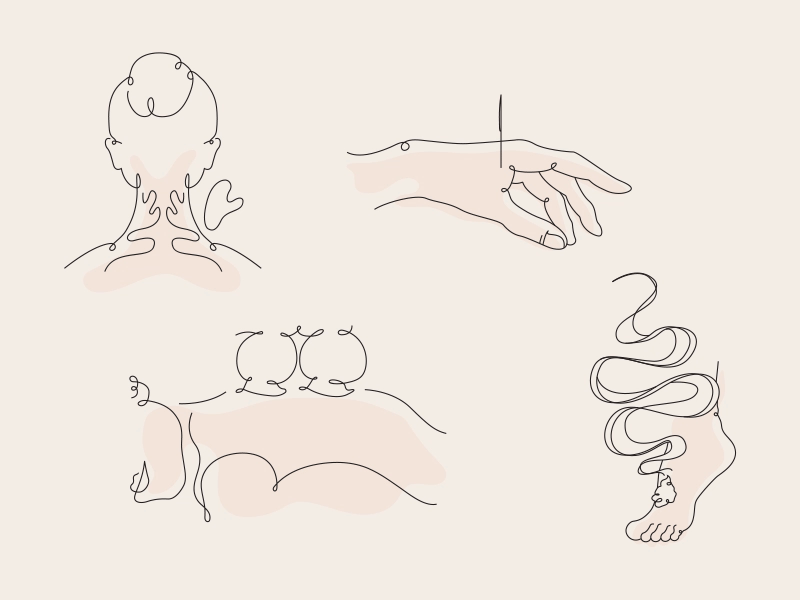 Yinova Acupuncture Illustrations 2019 acupuncture agency animation color design illustration motion new york vector web design website wellness