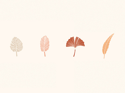 Floral illustration cute floral florals illustration nature plant plants