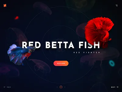 Fish Landing Page aquarium art beauty betta branding design dribbble fighting fish flat illustration landing landing page product red typography ui violet web website