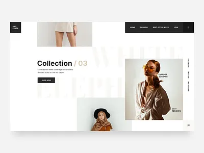 03 colors concept design interface responsive layout shoes shop ui ux web website design
