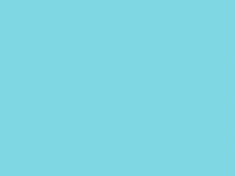 Walletly animation logo