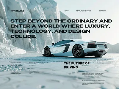 DriveXclusive auto car landing page ui ux web app web page design web site design