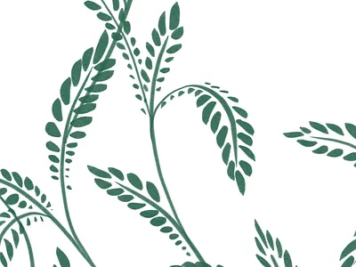 Green Leaves Illustration beautifull brush green illuatration leaves pen plant plant illustration procreate simple texture white