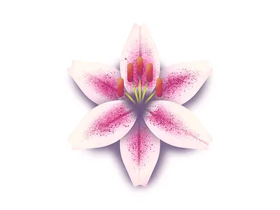 Star Gazer Lily flower flowers flowers illustration illustration kyles brushes lilies lily photoshop file retro supply texture
