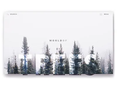 World of Trees branding design graphic design landing page landing page concept photograhy ui ux web design