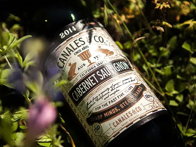Canales and Co Wine bottle branding illustration lettering packaging typography wine