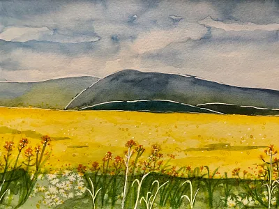 Wild Mustard Field illustration watercolor