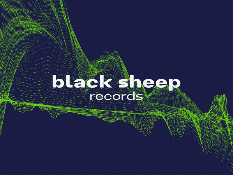 Blacksheep Records brand branding design identity illustration indie logo music punk punk rock record label typography ui vector
