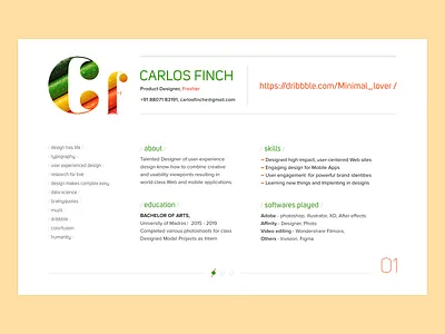 Portfolio aka Personal Website brand colors dn landing page logo minimal portfolio resume studio trend 2019 typography website