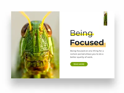 Being focused daily ui interaction design uidesign uiuxdesign web design website