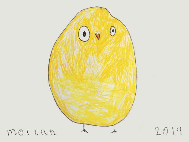 Birdy after affects animation bird cycle drawing