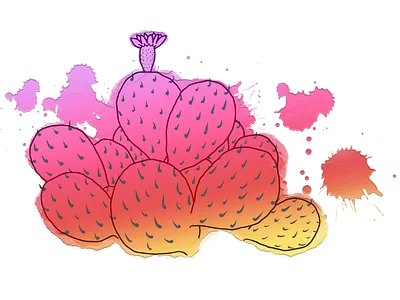 Cactus Sunrise cactus digital digital painting line art splatters sunrise sunset t shirt design watercolor art