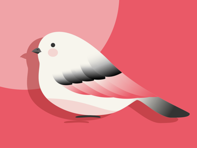 Little Bird 插图
