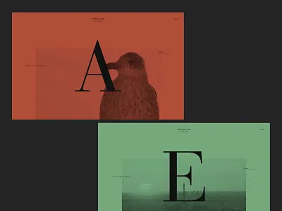 Clément - Photography portfolio animation black colors design interface layout minimal photography portfolio scroll effect ui user interface userinterface ux web design webdesign website