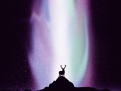 Northern Lights artwork artworking artworks illustrate illustration illustrator