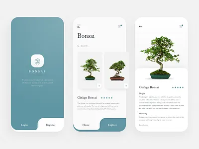 Bonsai app card carousel depth education education app interaction layout design minimal app modern navigation plants simple design swiss design website header zen