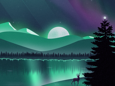 Arcticshot artwork artworking illustartion illustrator