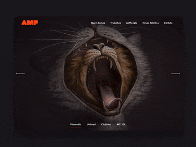 AMP Propaganda Slider banner cases design fade slider slides webdesign zoom