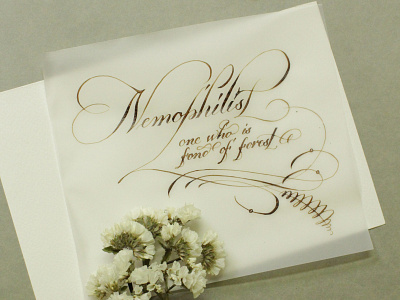 Nemophilist calligraphy calligraphywithflourishing pointedpencalligraphy priyankacallidesigns