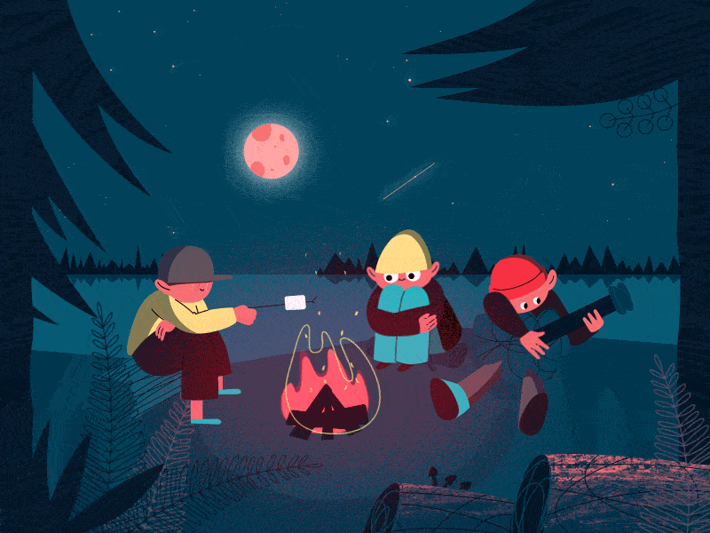 Summer Camp Animation animation design flat illustration motion design school motion graphic vector