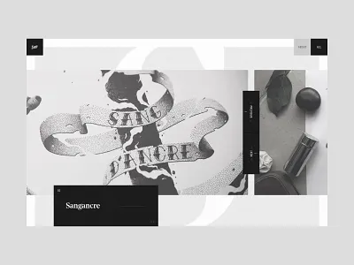 Dess Website black black white design grey interface layout minimal portfolio ui user interface userinterface ux web design webdesign website white