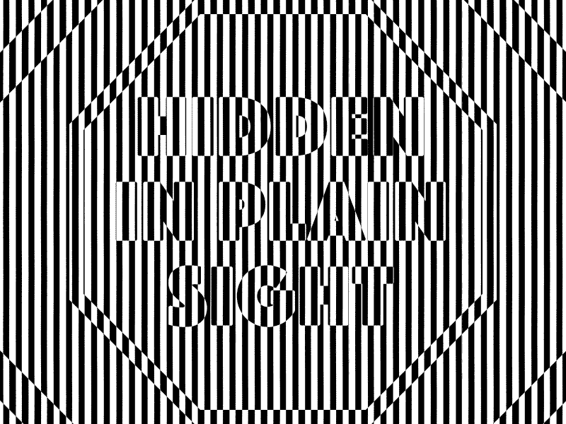 Hidden In Plain Sight after effects animated black and white blender design lines loop optical art optical illusion