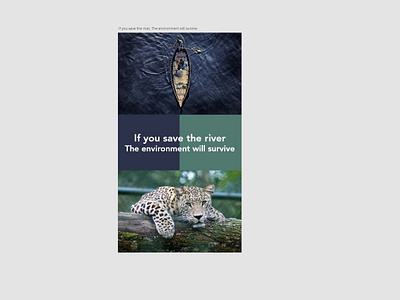 If you save the river, The environment will survive design ui