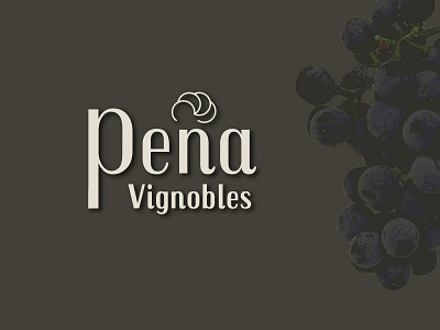 vineyard logo branding design identitiy logo typography web