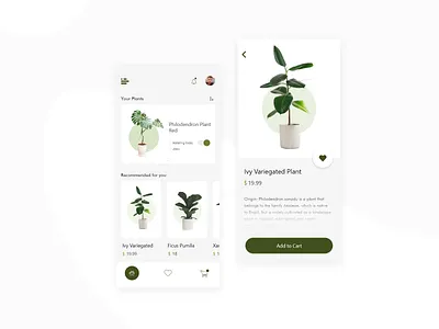 Plant App Exploration concept design domingo dribbble app dribbble best shot exploration green ios plant ui ux