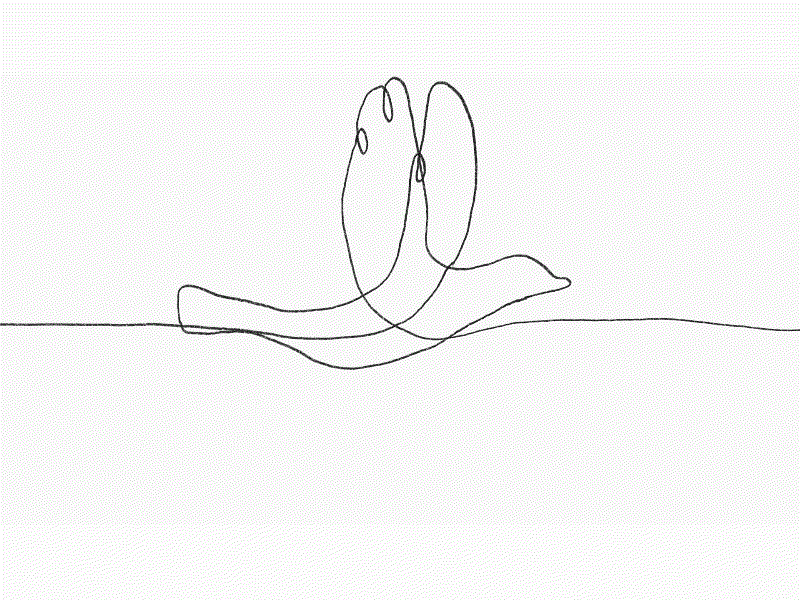 Bird Flying Continuous Line 2D Animation 1080p 24 fps 2d animation animated animation bird continuous line doodle dove drawing flight fly flying frame by frame hd high definition motion movement sequence wing