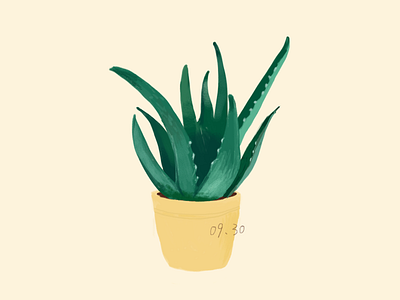 daily practice_Photoshop_ Green plants illustration