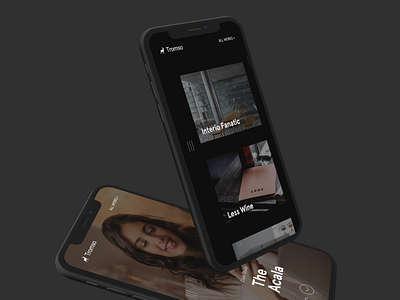 Tromso - Template branding css css animation html illustration iphone minimal photography ui ux website