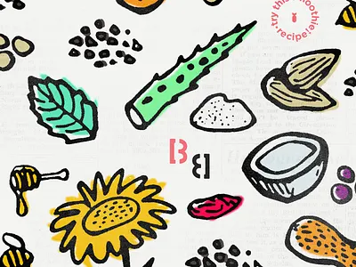 BB Ingredients almond aloe branding cacao coconut flavors goji illustration ingredients mint peanut sunflower