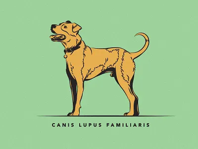 002 Hogan dog hogan illustration