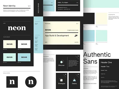 Neon Brand Identity Concept brand brand book brand designer brand identity brand studio branding product product studio