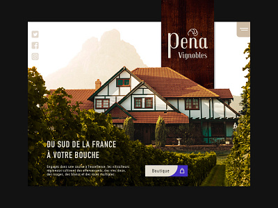 vineyard project branding design identitiy logo typography web
