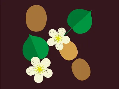 K for kiwi 36daysoftype fruit icon letter nature typo vector