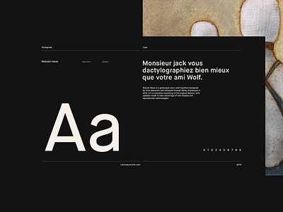 Styleguide - Type brand indentity branding dark design exploration design system guidelines painting style guide styleguide type typografy ui